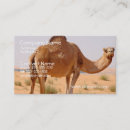 Search for camel business cards Animal