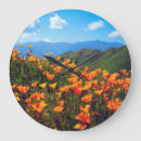 Search for california poppy art Botanical