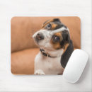 Search for beagle mousepads Animal