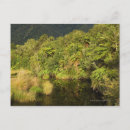 Search for tranquil scene postcards Nature