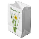 Search for daffodil gift bags Nature