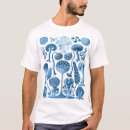 Search for 1904 Haeckel