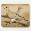 Search for mourning mousepads Wildlife