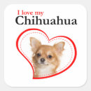Search for chihuahua stickers Animal