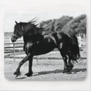 Search for friesian electronics Animals