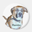 Search for lab magnets Pet