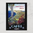 Search for vintage grapevine postcards Tourism