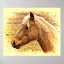 Search for mares posters Gold