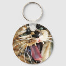 Search for tortie accessories Cute