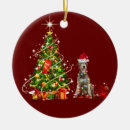 Search for irish santa christmas tree decorations Xmas