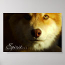 Search for beautiful wolf art Wolves