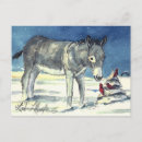 Search for wild donkeys postcards Burro