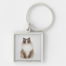 Search for big cats key rings Nature