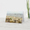Search for pebbles cards Beach