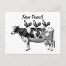 Search for vintage farm postcards Cow