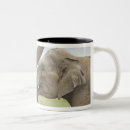 Search for grasslands mugs Meadow