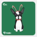 Search for boston terriers stickers Animals