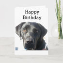 Search for kennels cards Pet