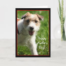 Search for jack russell terrier cards Pet