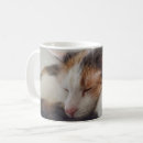 Search for calico kittens mugs Pet