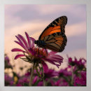 Search for monarch butterfly posters Cute
