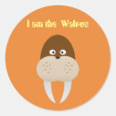 Search for walrus stickers Cartoon