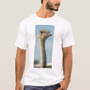 Search for ostrich tshirts Australia