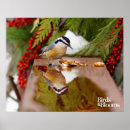Search for nuthatch posters Red breasted nuthatch
