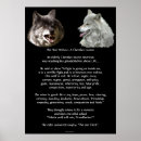 Search for two wolves posters Canines