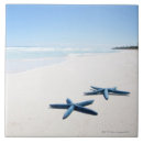 Search for starfish tiles Animal