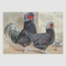 Search for vintage rooster tissue paper Hen