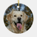 Search for flat coated retriever christmas tree decorations Bob and pam langrish
