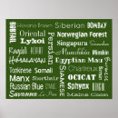 Search for cat breed posters Cats