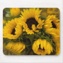 Search for orange spring flash electronics Beautiful