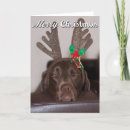 Search for silly christmas cards Dog