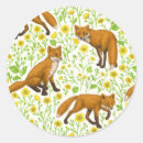 Search for buttercup stickers Botanical