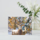 Search for deep forest postcards Deer