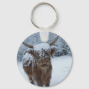 Search for highland cattle key rings Cute