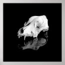 Search for animal anatomy art Death