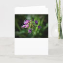 Search for allium cards Garden