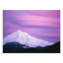 Search for deep posters Environment