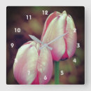 Search for tulip clocks Pink