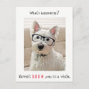 Search for westies postcards Funny