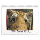 Search for alligator calendars Turtle