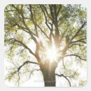 Search for nature spirit stickers Forest