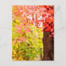 Search for colourful simplicity postcards Freshness