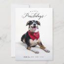 Search for cat pun christmas cards Modern