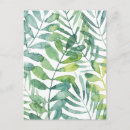 Search for frond postcards Botanical