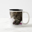 Search for tabby kitten mugs Animals