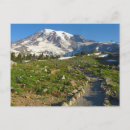 Search for skyline view postcards Landscape